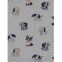 Набор и 2-х футболок и шорт George "Dog" (05321)